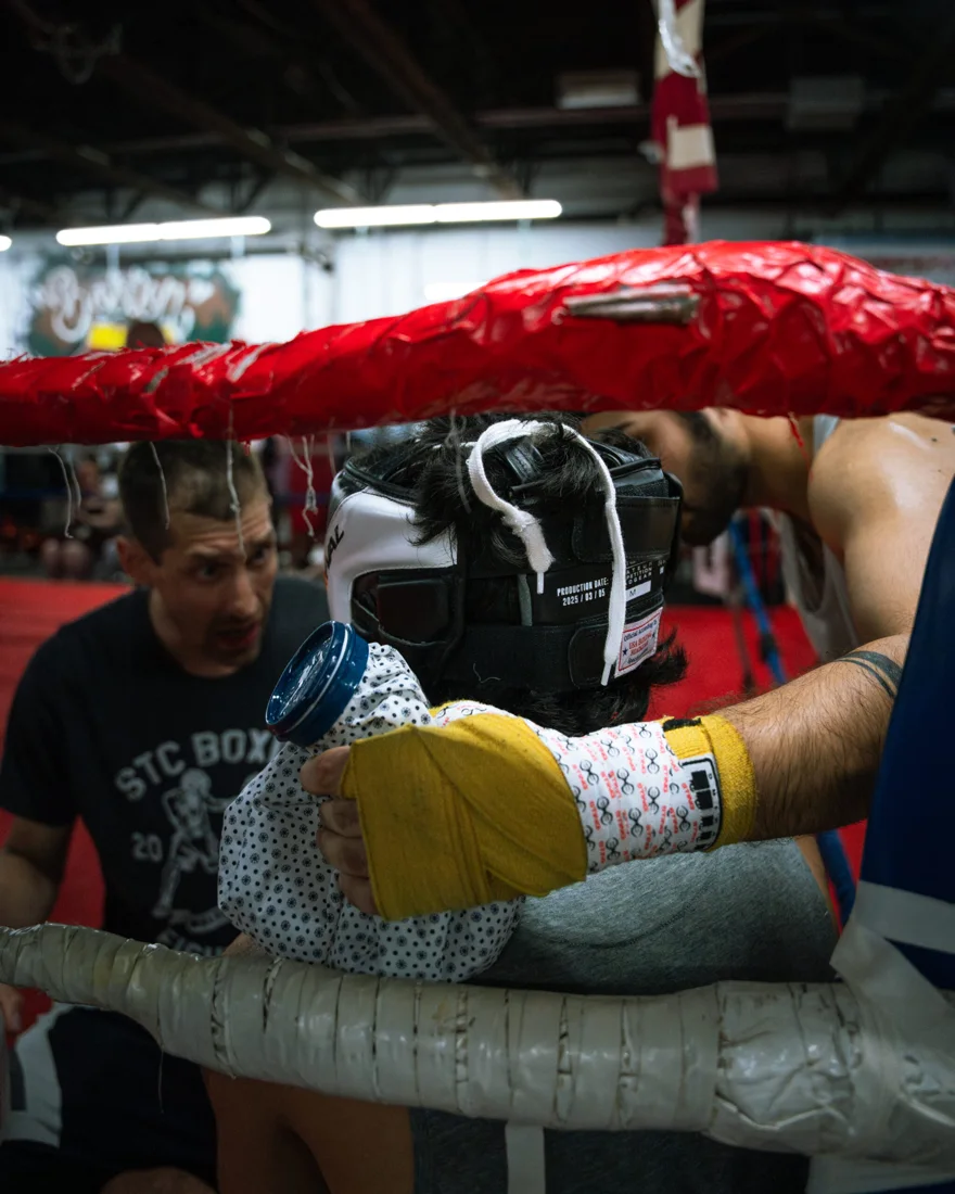 STC Boxing & Fitness business photo